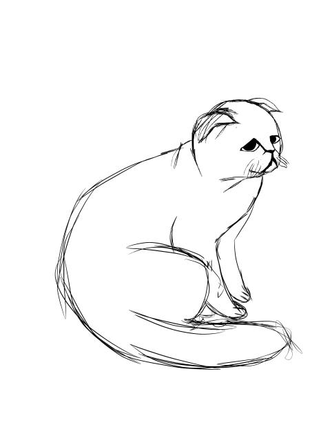 Sketch of my cat 🥀