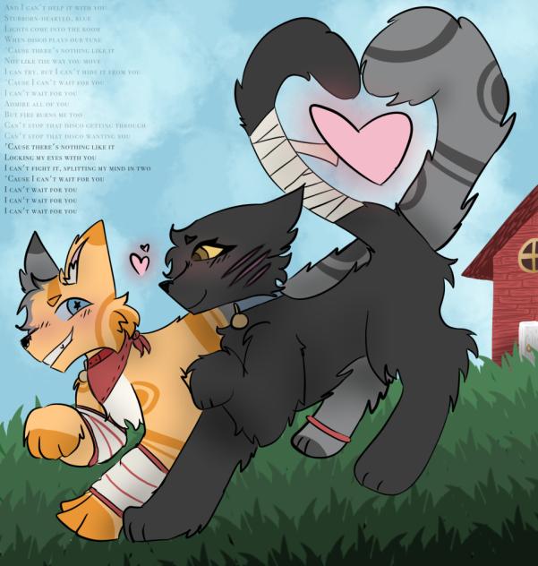 Dusty & Mittens!! ❤️✨