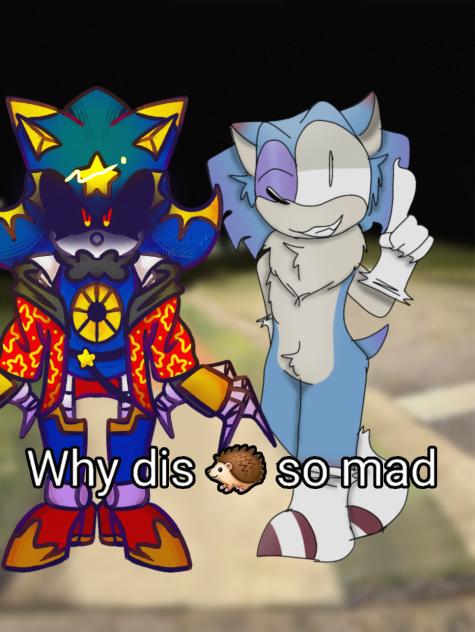 “Why this 🦔 so mad” (COLLAB - REDSZI!)