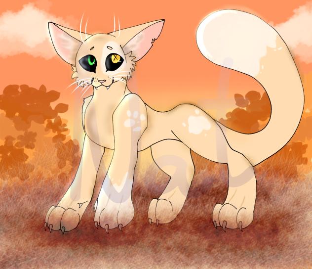 Cat in the fall 🧡
