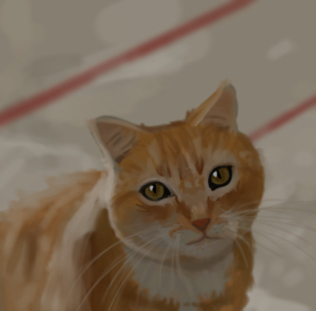 cat - ibisPaint