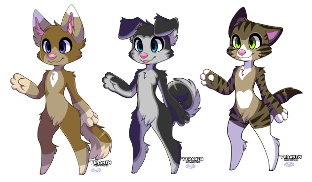 Mapleleaf, A Husky and Mia