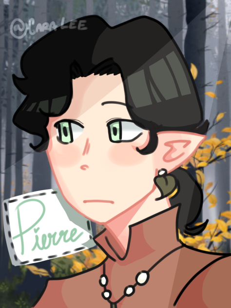 Pierre 🌿