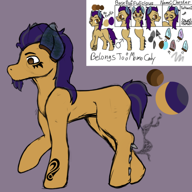 Chester redesign