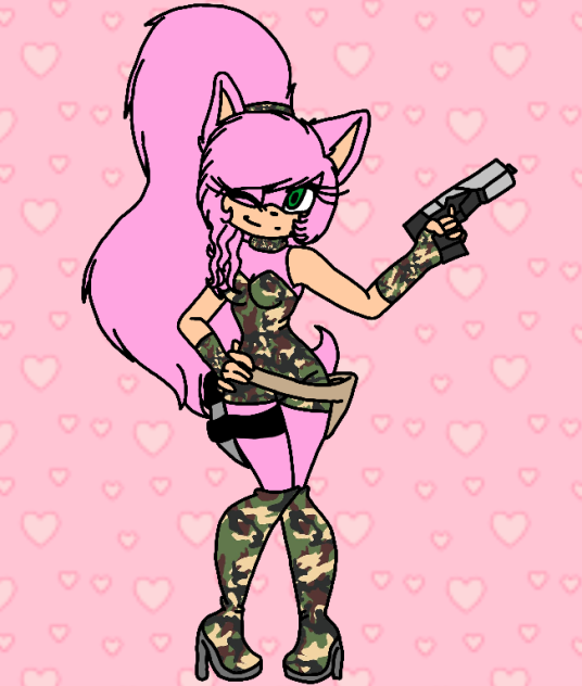 Going Into The Army Amy The HedgeHog