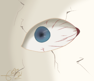 segundo intento de ojo