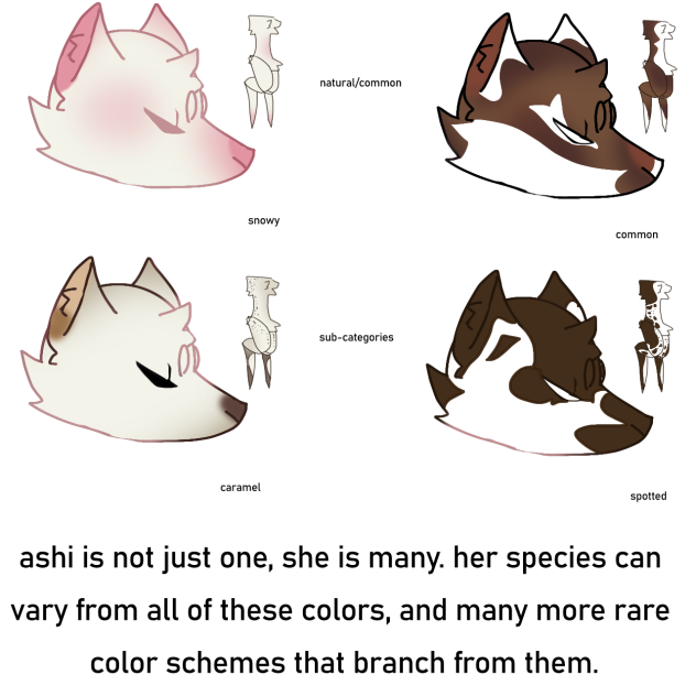 ashi's species ;3