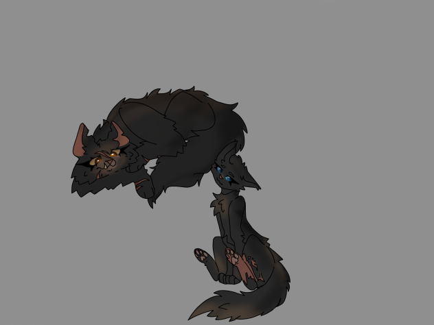 Yellowfang n Cinderpelt