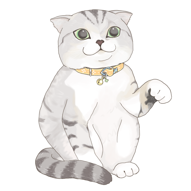 招き猫ポーズのスコティッシュ
