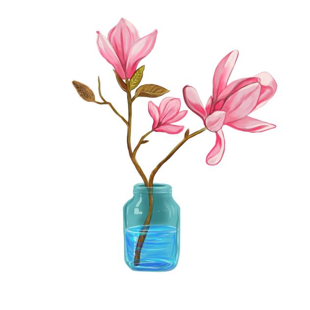 Pink Magnolia