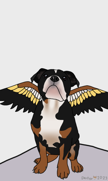 Winged Dog