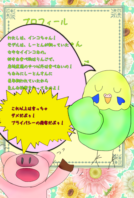インコちゃんプロフィール