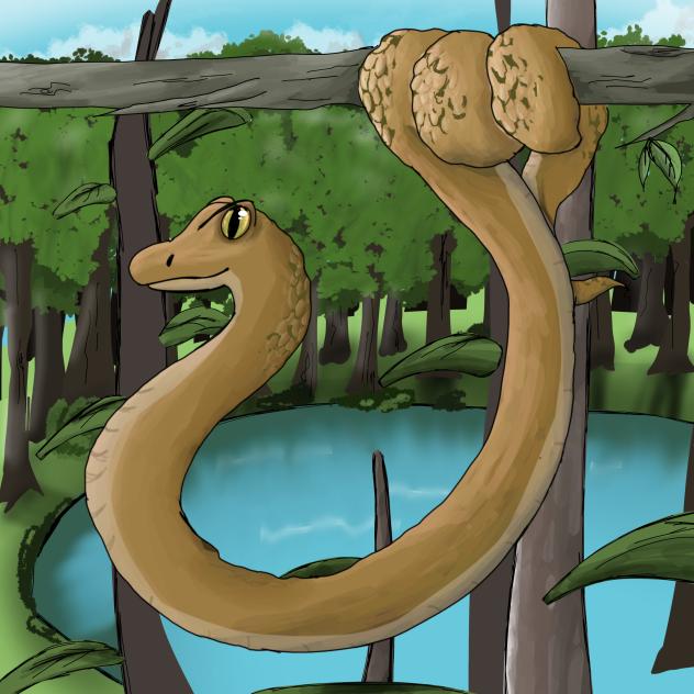SNAKE!