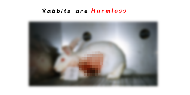 Stop animal testing 🤍