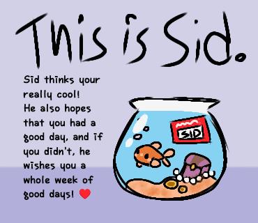 A positive note from Sid -