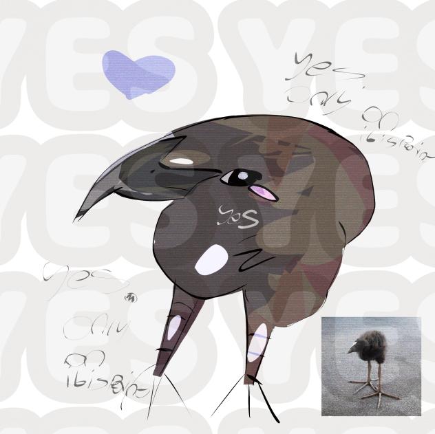 bird - ibisPaint