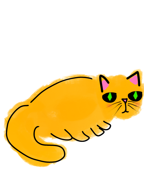kitty