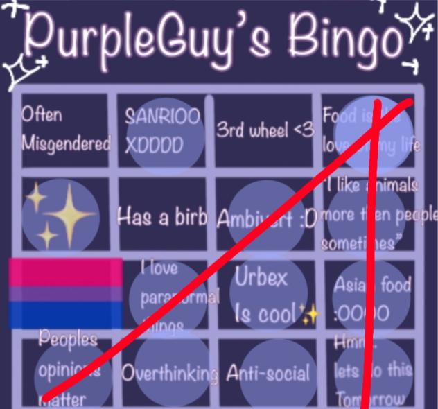 bingooo
