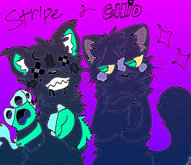 Stripe and Chio