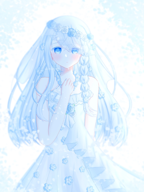 Nemophila