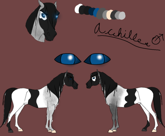 Achilles - Reference sheet