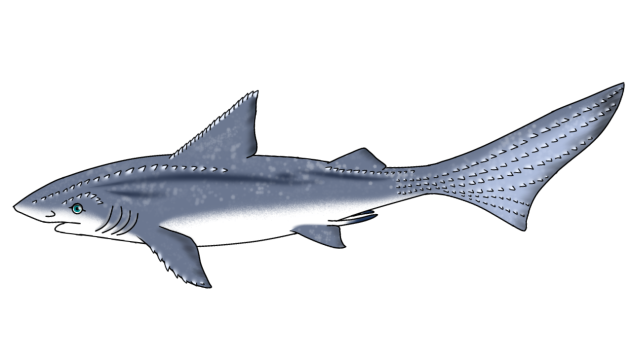 Isonade render