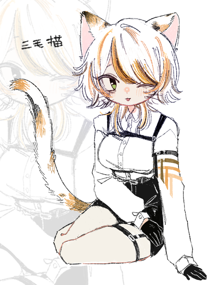 ♡三毛猫♡さん専用 三毛猫さん #猫 #三毛猫