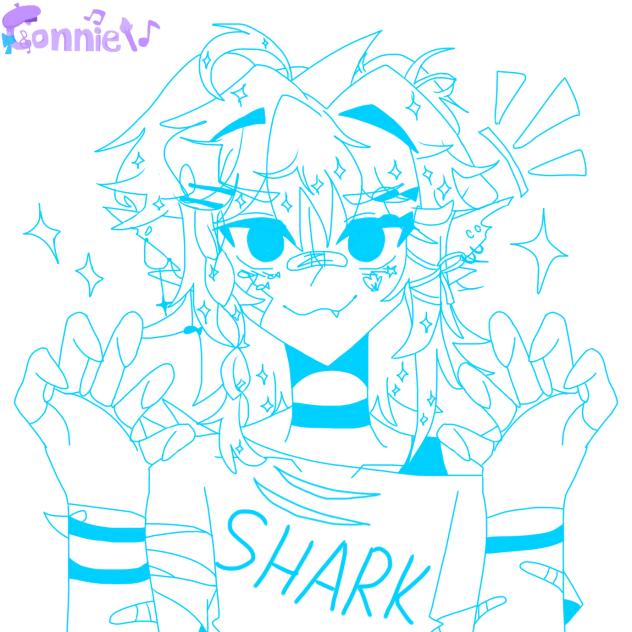鲨鱼🦈