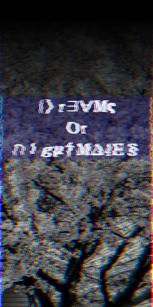 Dreams or Nightmares 2nd Cover