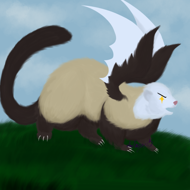 Ferret Dragon!