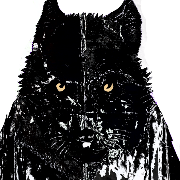 The Black Wolf on the snow