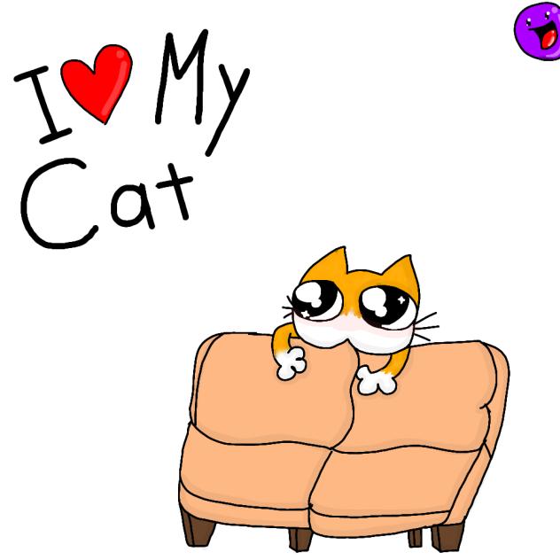 I love my cat.