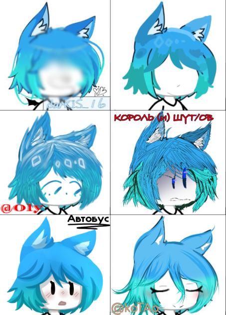калапек автобус
