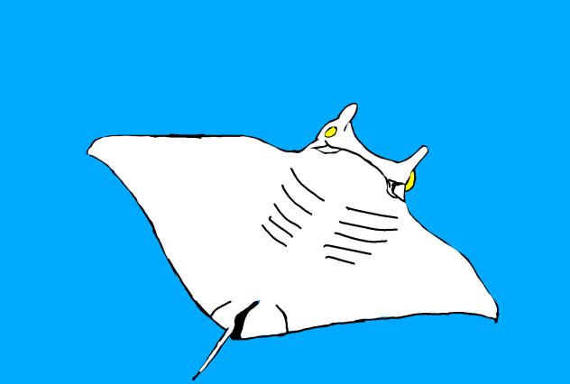 海の生物