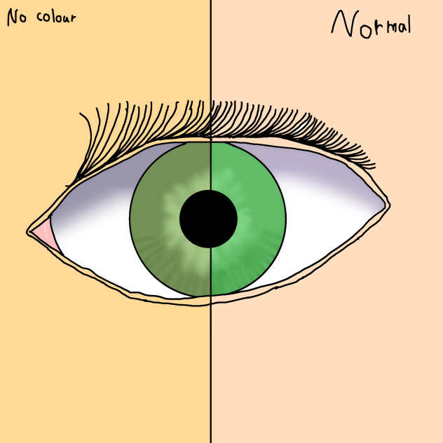 No colour vs Colour