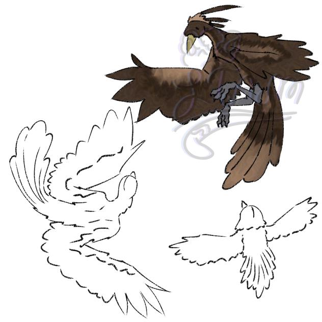 Birb collab