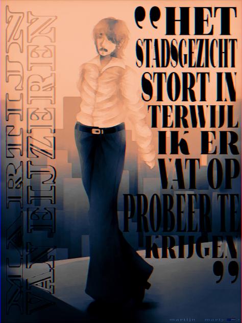 Het Stadsgezicht