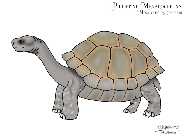 Megalochelys sondaari