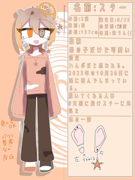 うちの子資料　スター