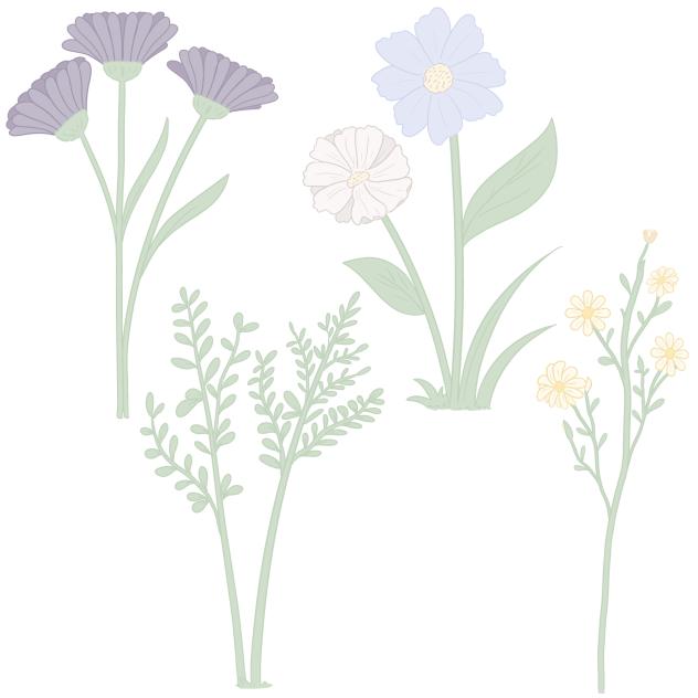Wild Flowers