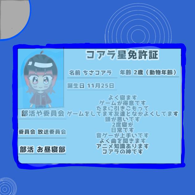 コアラ星免許証