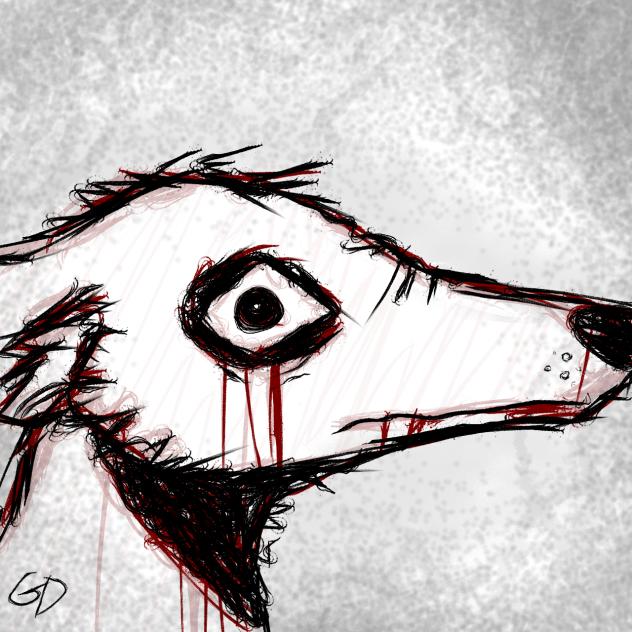Quiet coyote