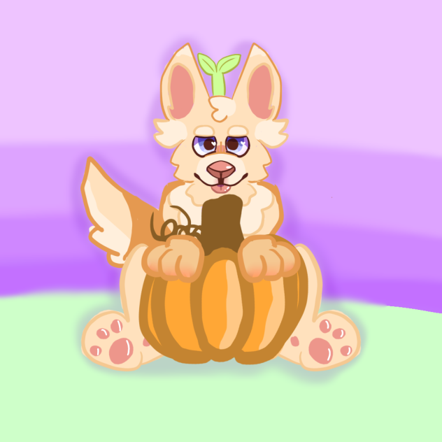 Chamomile with a pumpkin