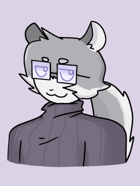 chinchilla guy