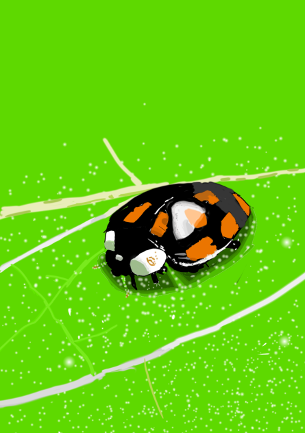 Drawing a Ladybug On Ibis Paint X
