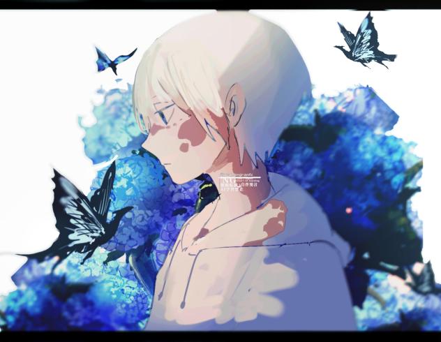 ハイドランジア