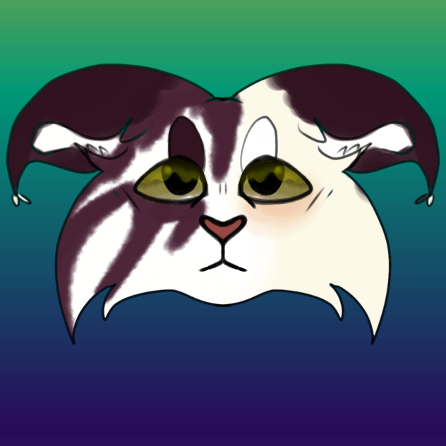 Untitled31.2022.05.28-12.55