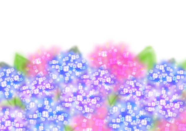 紫陽花