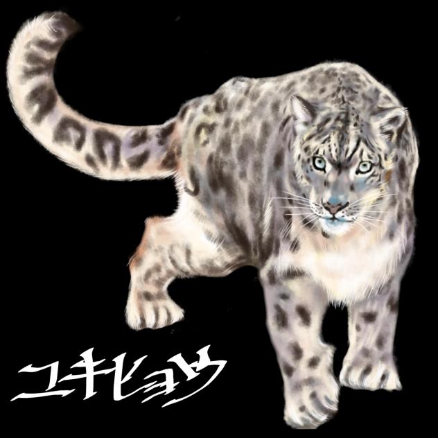 ユキヒョウ　ネット画像参照