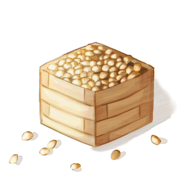 お豆
